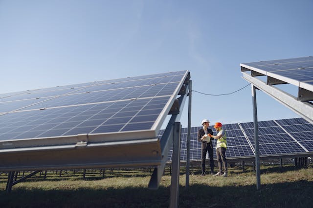 A field with solar panels everywhere.